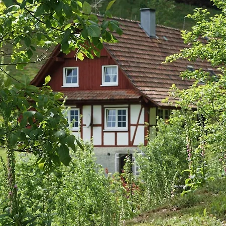 Haus Wiesenruhe Дом отдыха *