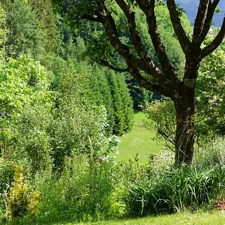 Haus Wiesenruhe * 제바흐