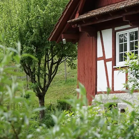 Haus Wiesenruhe 펜션 *