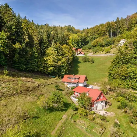 Σπίτι διακοπών Haus Wiesenruhe