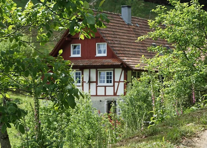 Haus Wiesenruhe Holiday home *