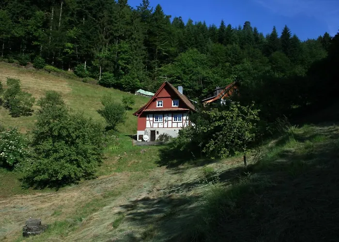 Haus Wiesenruhe *
